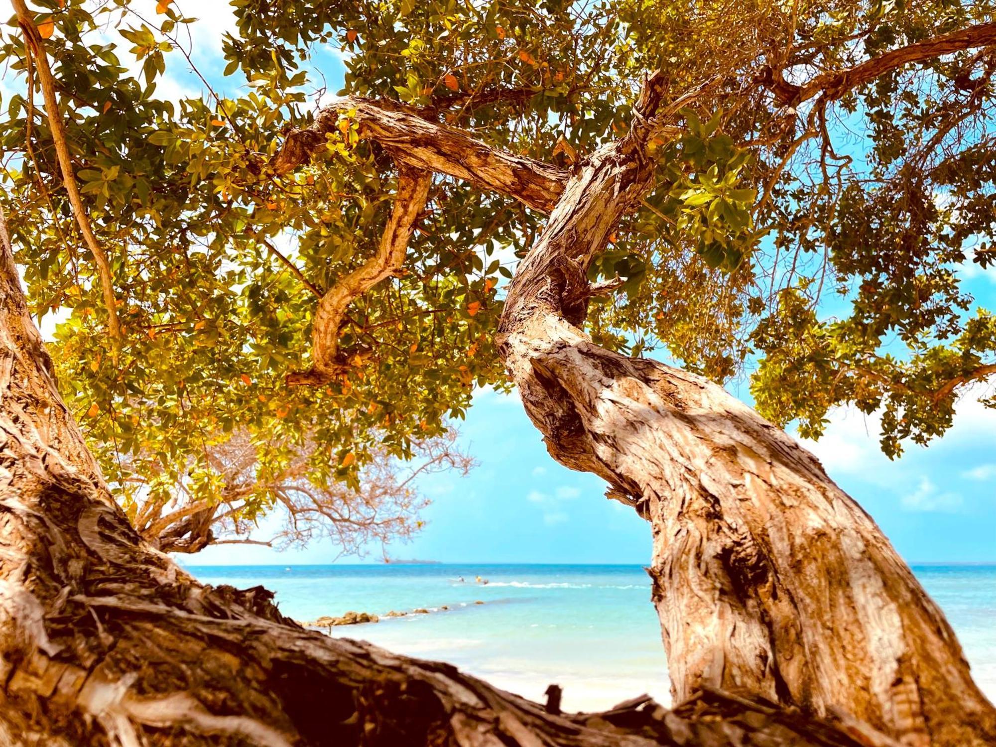 Carey Beach Бару Екстер'єр фото